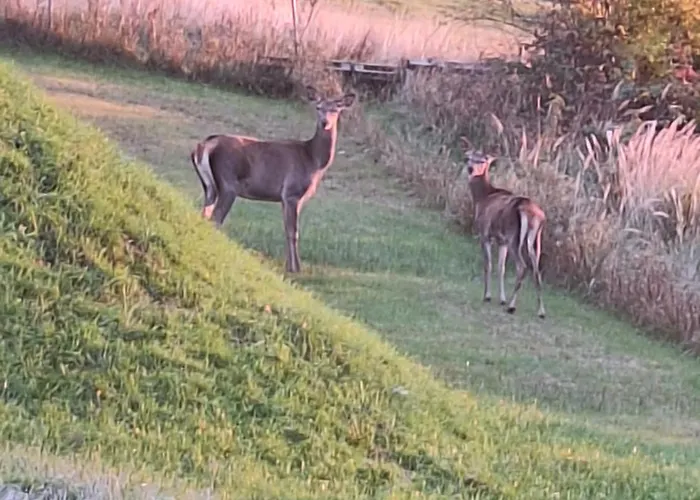 Willa Agrestówka Z Balią Na Wyłączność